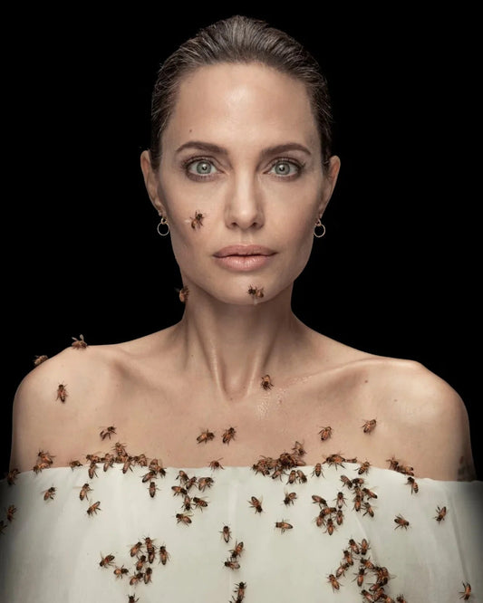 Angelina Jolie Bees: When Hollywood Met the Hive Beezzit