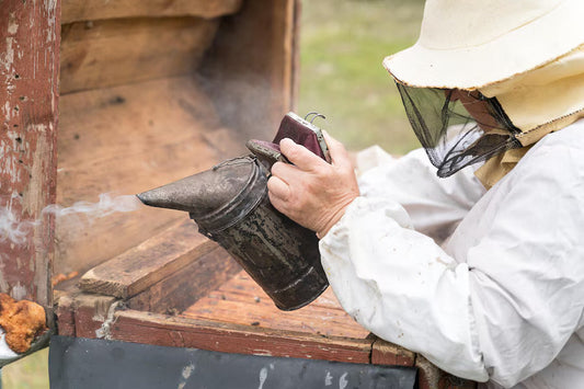 What's the best bee smoker fuel for your bees? Beezzit