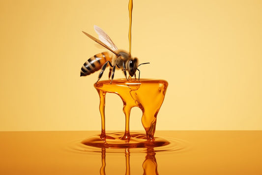 Do all bees make honey? Beezzit