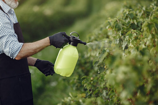 How to make a bee friendly weed killer at home Beezzit