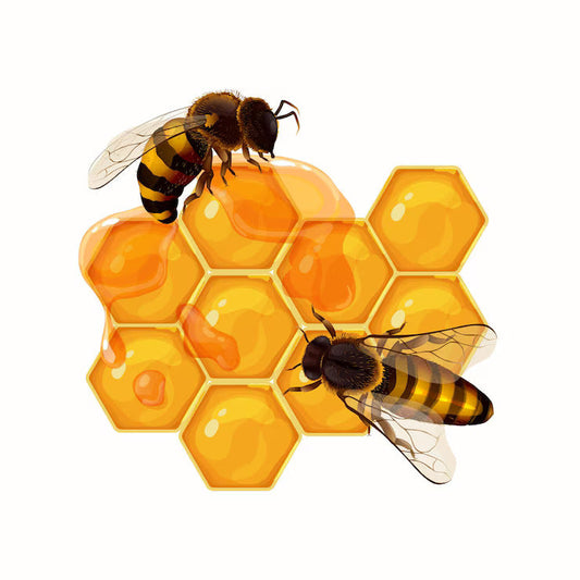 Is honey bee poop? How is it made? Beezzit