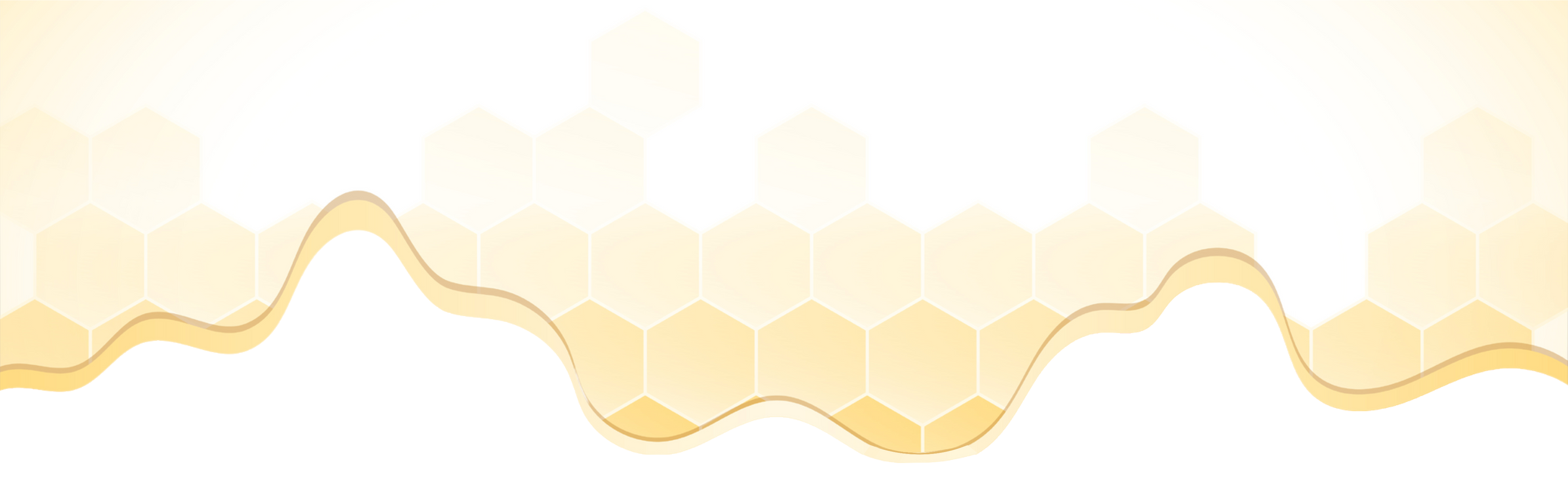 Section Background Image