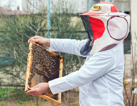 7 Best Bee Suit Options for Modern Beekeepers Beezzit