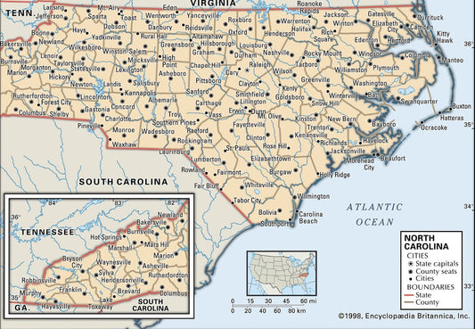 Most Popular North Carolina Bees for Beekeepers Beezzit