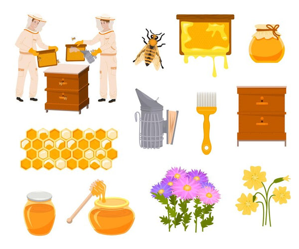 Top 5 beginner beekeeping kits