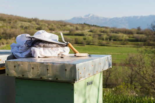 How to choose your first beginner beekeeping kit? Beezzit