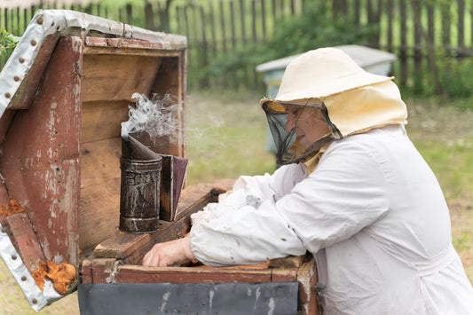 Bee smoker basics 101 Beezzit