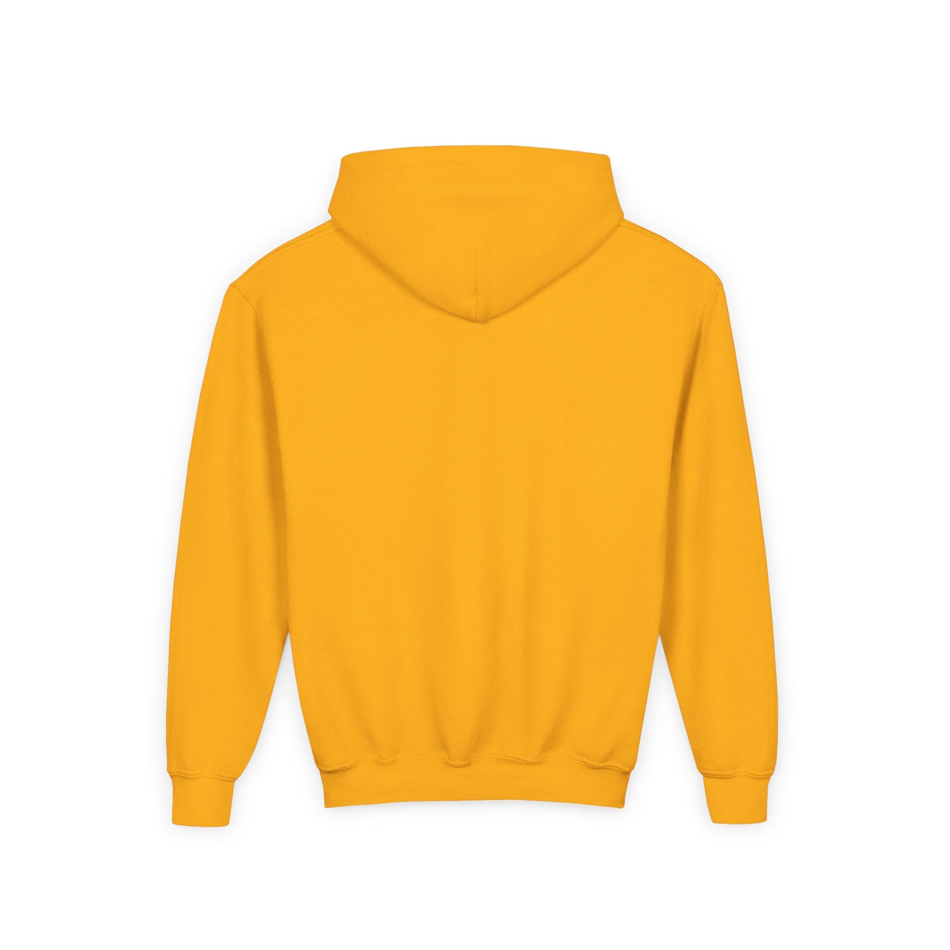 Bee Kind Youth Hoodie | Beezzit  